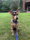 Oakley
