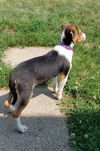 Lottie 2