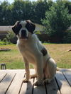 Beethoven