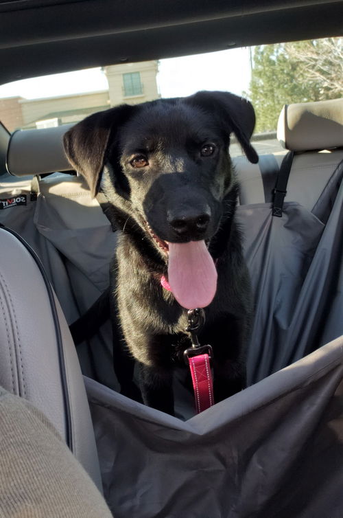 Gemma