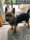 Charlie