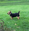 Charlie