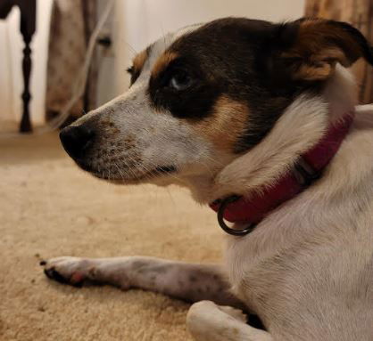 Lola