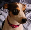 Lola