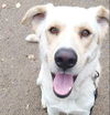 Remington