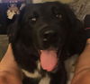 Macy