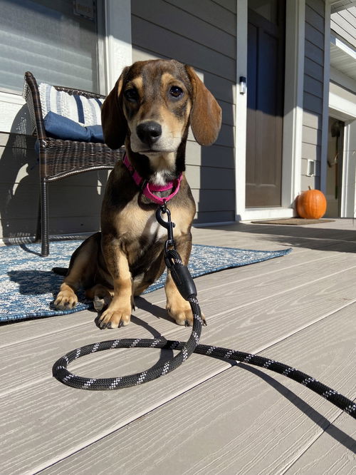Sadie