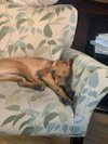 Moses - Photo 3