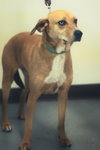 Moses - Photo 4