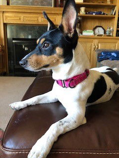 Penny