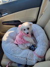 Winifred