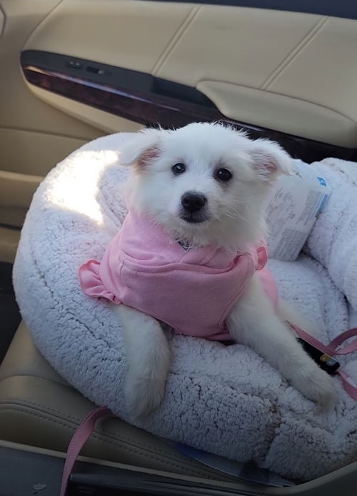 Winifred