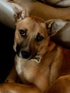 Samantha
