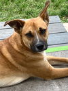Samantha