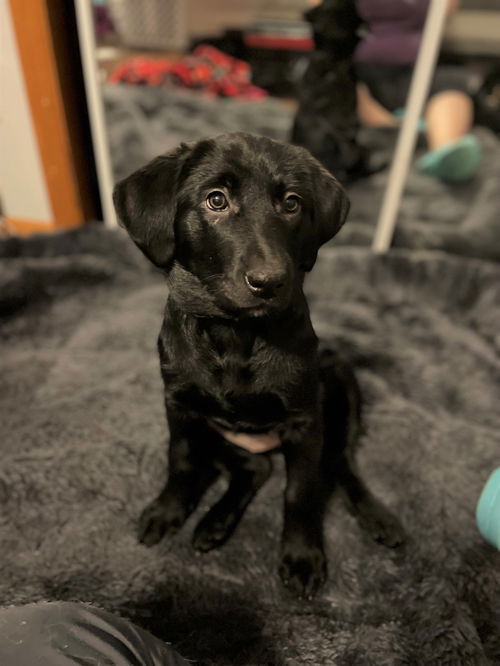 Zoe