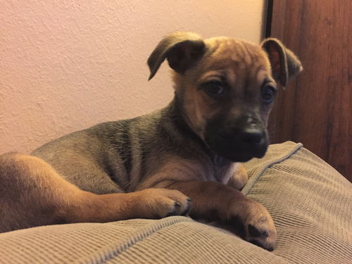 Freya