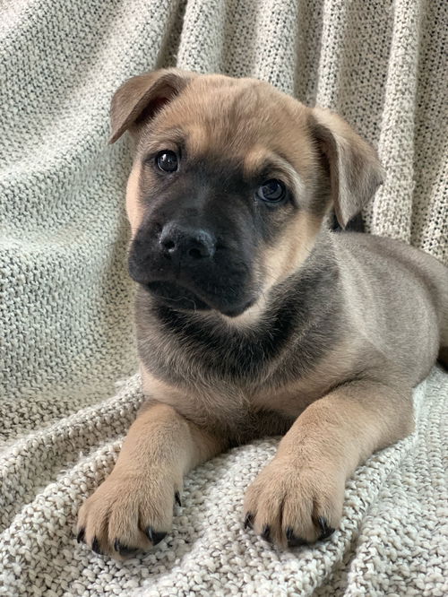Parker