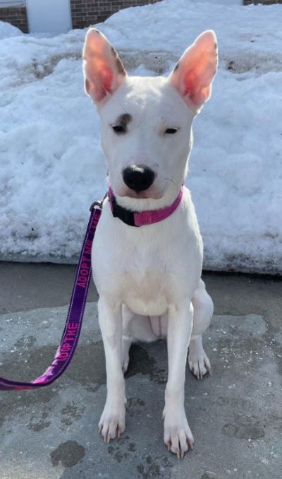 Baby Luna