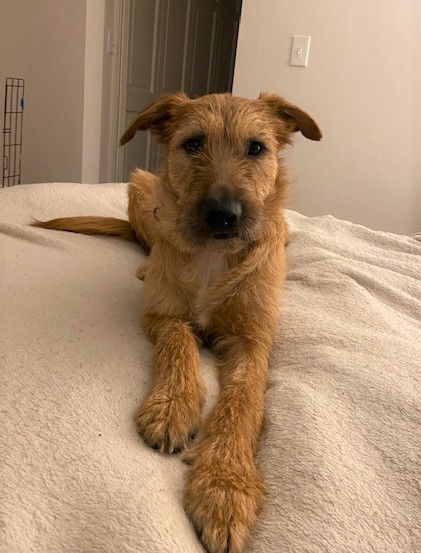 Maggie