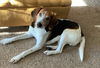 Roscoe