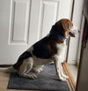 Roscoe