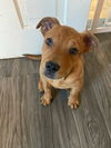 Ernie