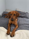 Maggie Jane