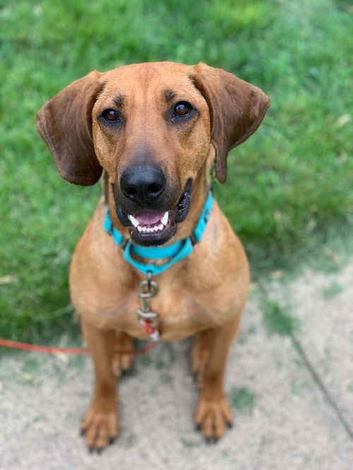 Maggie Jane