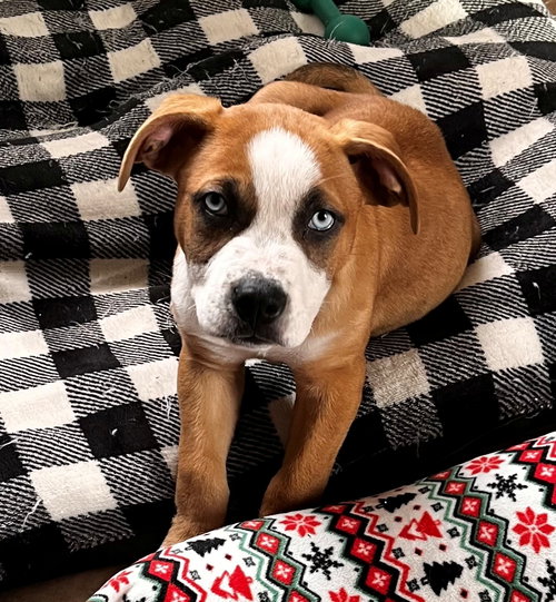Nelly