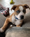 Nelly