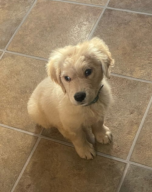 Lenny