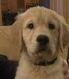 George