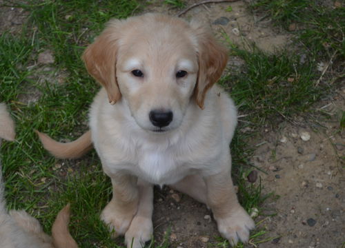 Lucy