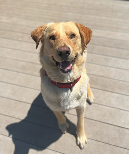 Jax