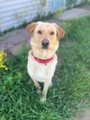Jax