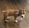 Fido