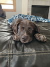 Thelma