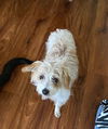 Daisy Lynn