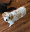 Daisy Lynn
