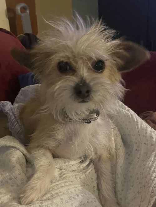 Winnie