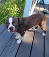 Barkley