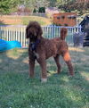 Quincy
