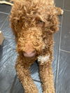 Quincy