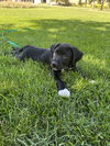 Jack