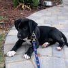 Jack