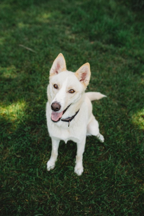 Kiara