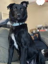 Bailey Jane