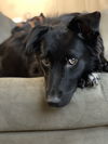 Bailey Jane