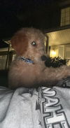 Parker