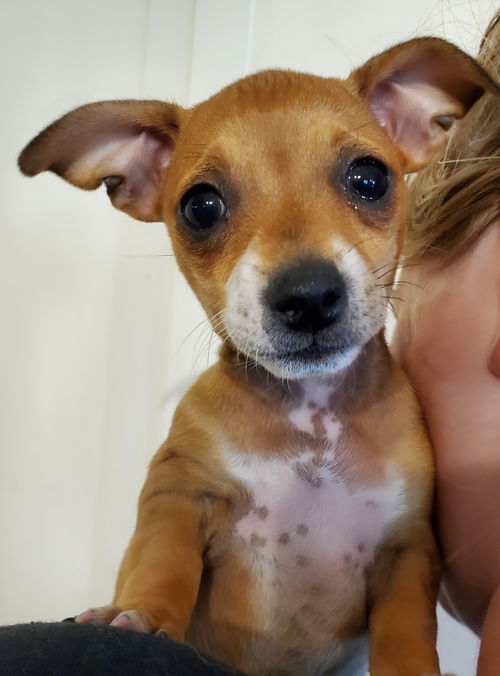 Lucy